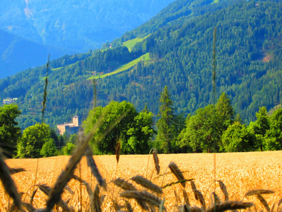 Schloss Bruck: le château de Lienz