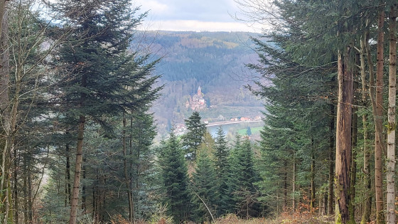 Le ch&acirc;teau de Zwingenberg de l'autre c&ocirc;t&eacute; du Neckar