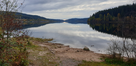 Le Schluchsee en automne