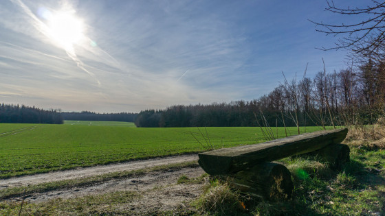 Un bel endroit pour faire une pause au soleil de midi.
