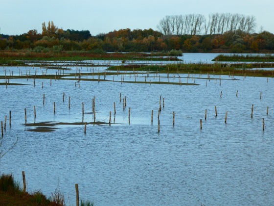 Schulensmeer