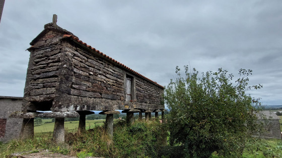 S&eacute;choir &agrave; grains &agrave; Vilar do Castro