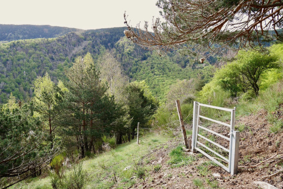 Second portillon