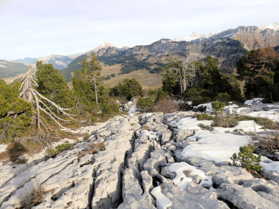 Secteur de lapiaz