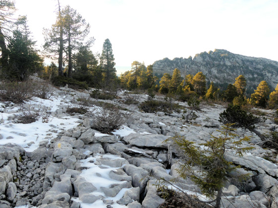 Secteur de Lapiaz