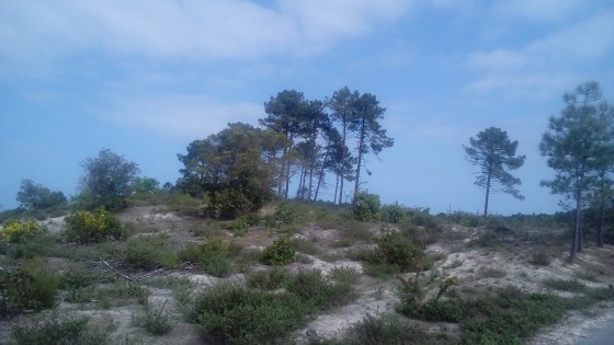 Secteur dégagé