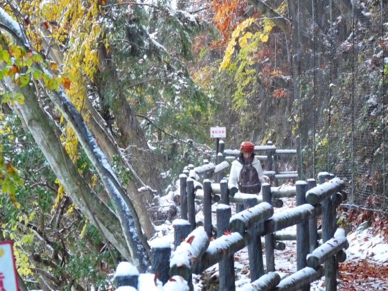Section am&eacute;nag&eacute;e du sentier