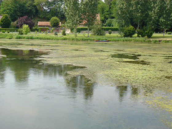Seille