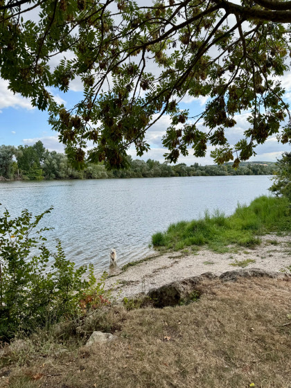 Seine