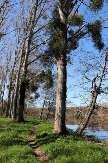 Sente en berge de la Creuse