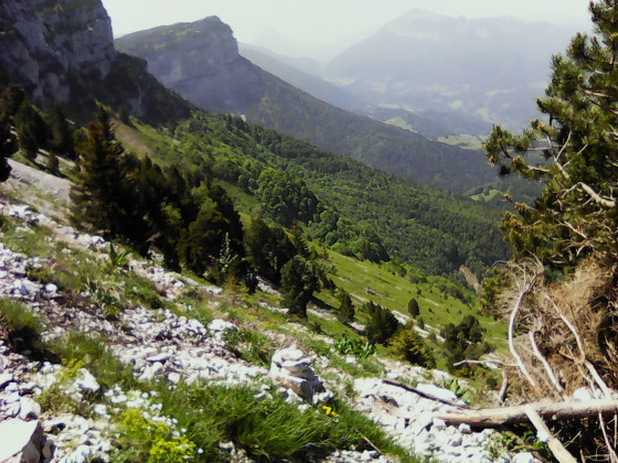 Sente longeant le pierrier Sente longeant le pierrier