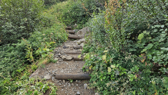 Sentier 2