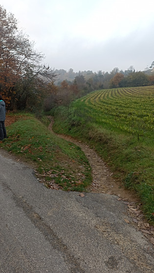 Départ de sentier