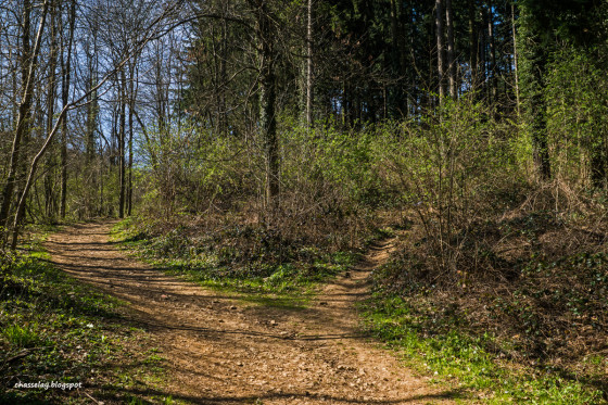 Sentier &agrave; droite