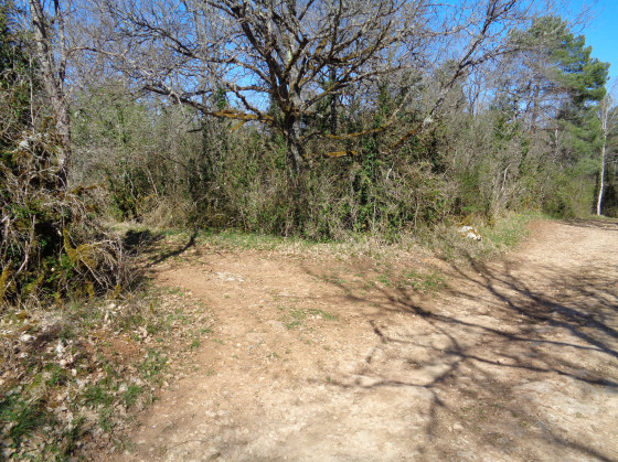 Sentier à gauche à 80m du motocross