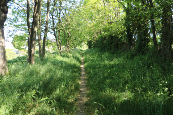Sentier à la sortie de la Membrolle