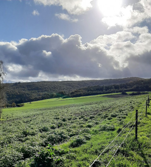 Sentier à la sortie de Treignes