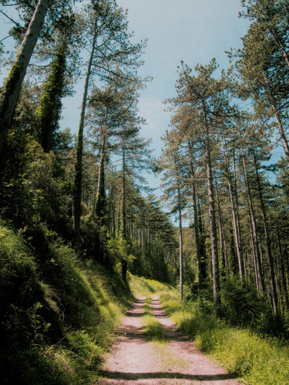 Sentier après les Bains d\'Avène