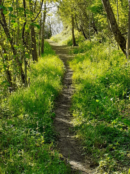 Sentier au bord de l'Aix