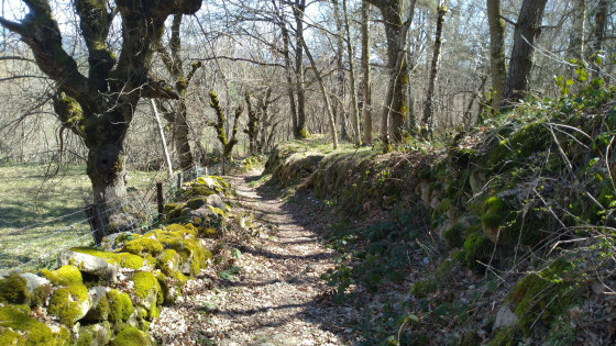 Sentier au départ d'Apcher