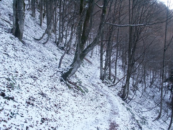 Sentier au dessus du lac des Perches