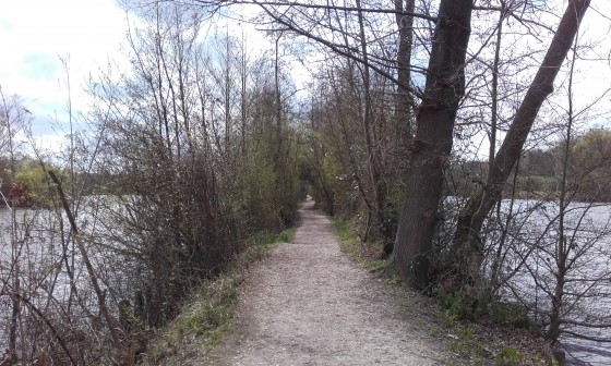 Sentier au milieu des étangs