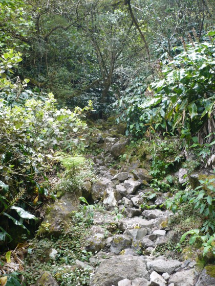 sentier Augustave