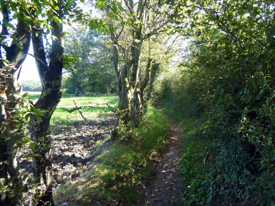 Sentier avant la chapelle de St- Ursmer