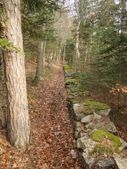 Sentier et son vieux muret