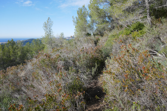 Sentier balcon avec vue sur littoral
