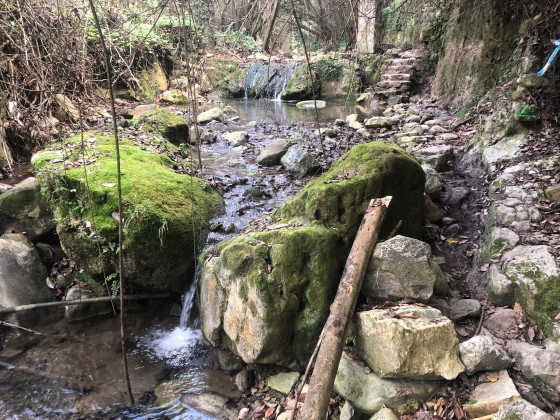 Sentier bordant le torrente Sasso.
