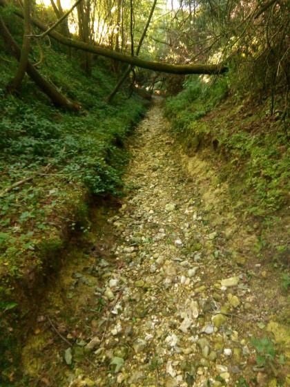 Sentier caillouteux