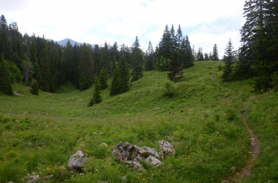 sentier central vers le GR91