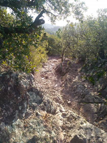 Sentier Cévenol