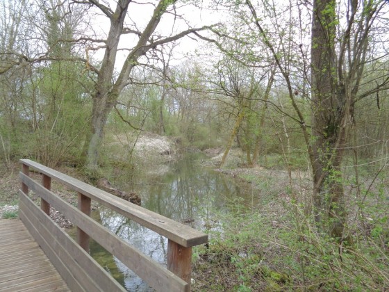Sentier d\'accès à la barre d\'Istein