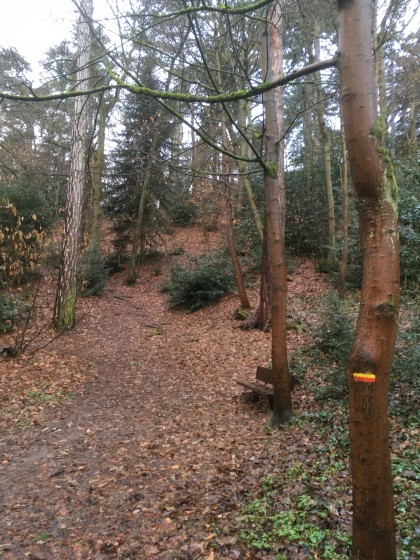 Sentier d\'accès à la porte de la micheronne