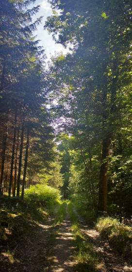 Sentier d\'ambiance