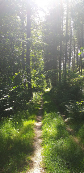 Sentier d\'ambiance