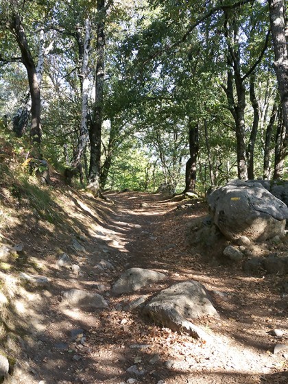 Sentier d\'Argeles Gazost.