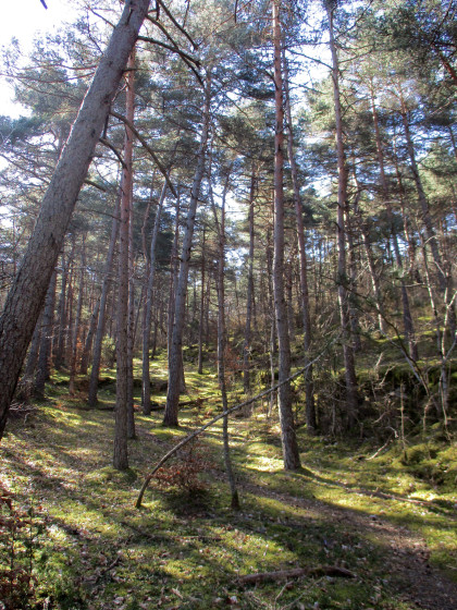 Sentier d\'interprétation