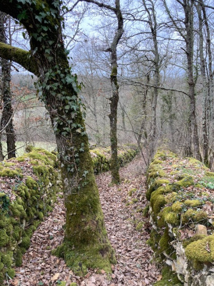 Sentier dans la combe Molière