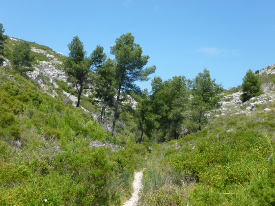 Sentier dans la garrigue