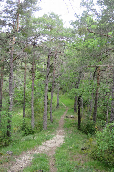 Sentier dans la montagne de Miollans