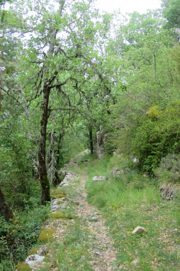 Sentier dans la montagne de Miollans