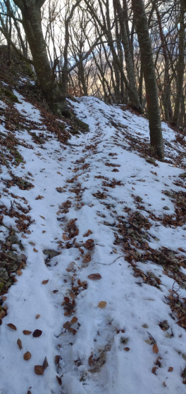 Sentier dans la mont&eacute;e