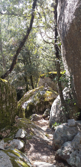 Sentier dans les éboulis du sentier archéologique