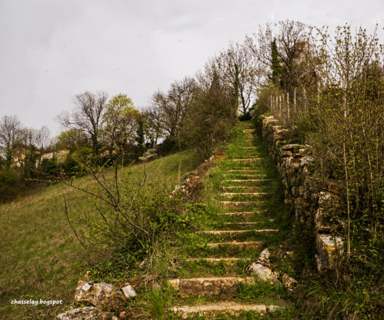 Sentier de c&ocirc;tes
