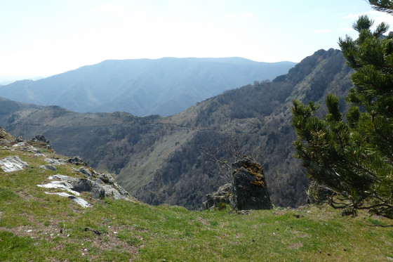 Sentier de crête (alt. env. 1000 m) avant d\'arriver au Coulet