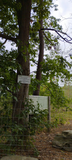 sentier de découverte