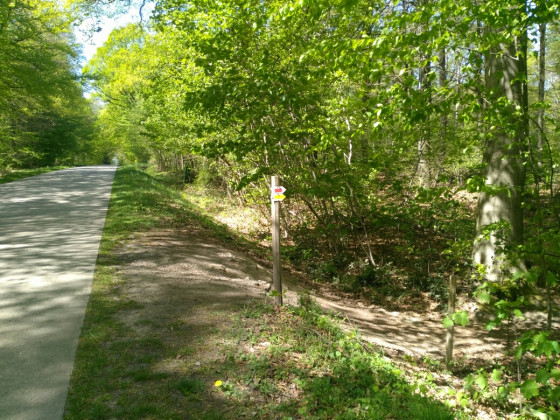 Sentier de départ